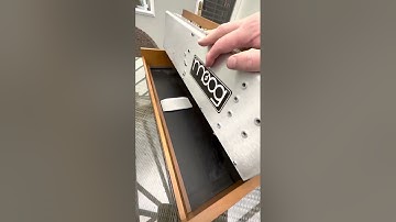Minimoog D 2022 re-issue, VS 2016 re-issue (Cosmetics only)