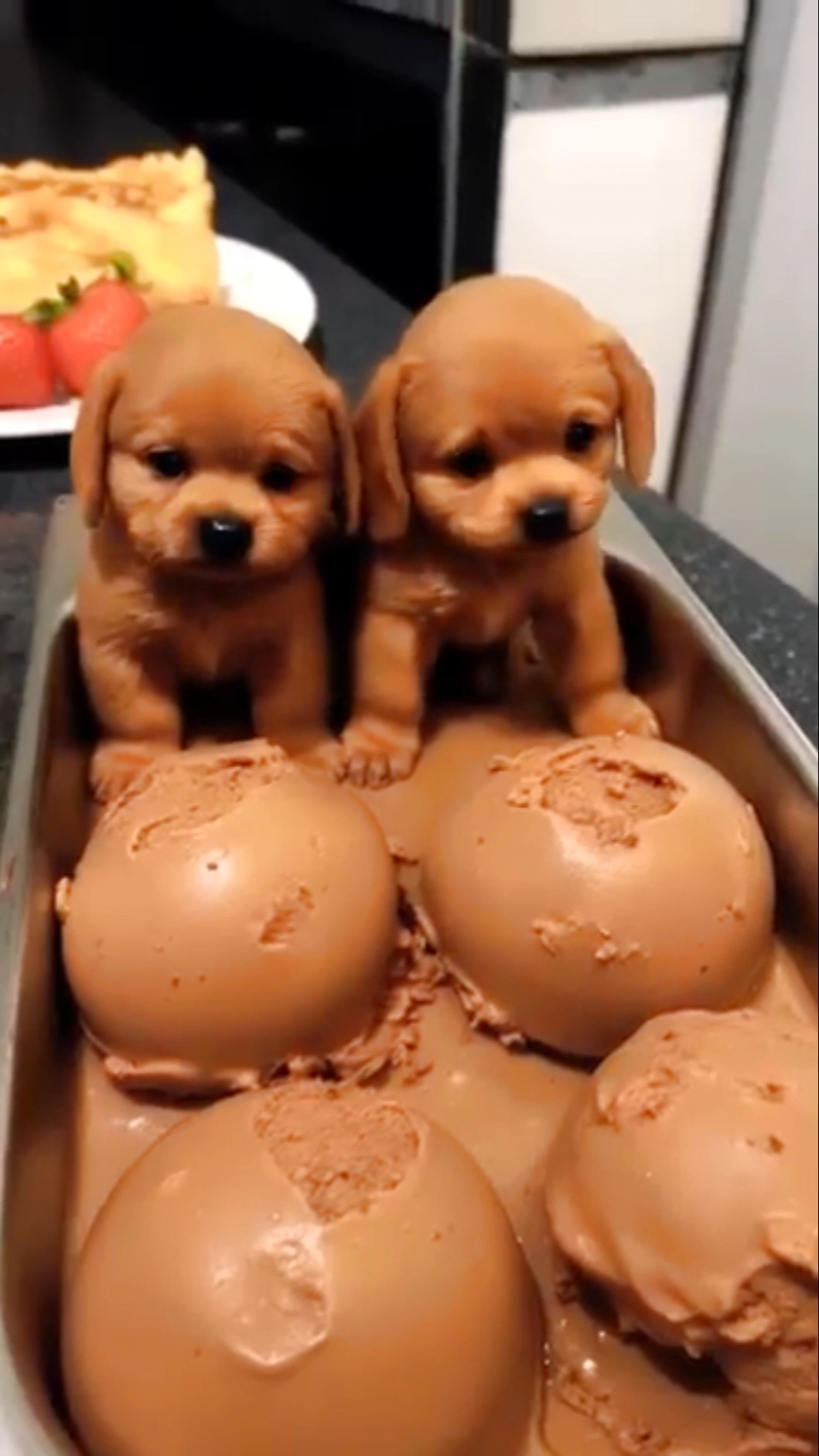 Ice-cream Puppy ahhh!!! ?Tom\u0026Jerry ?DiyaIshwarya #shorts #viralvideo
