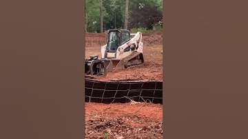 The Bobcat T770 is perfect for tree companies. #power #strenth #tree #yt  #construction #subscribe