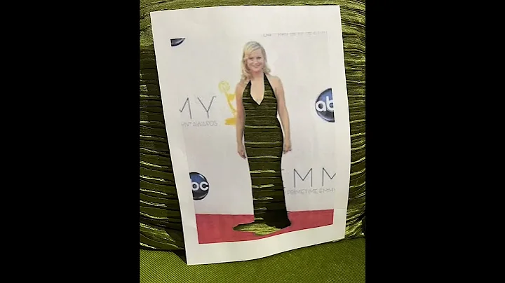 GISH 2022 Item 78 Amy Poehler in The World Around Me