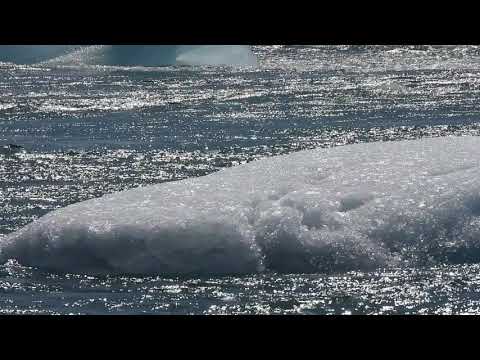 Video: Najboljši ledeniki na Islandiji