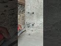 Rebaring process