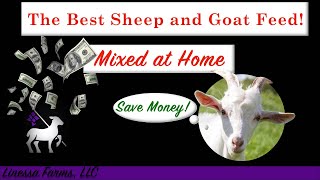 Superior Sheep and Goat Feed with Limited Resources and Budget!  Mix Feed at Home!