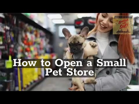 How To Open A Small Pet Store