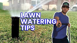 How Much And How Often You Should Water Your Lawn | Smart Irrigation Tips