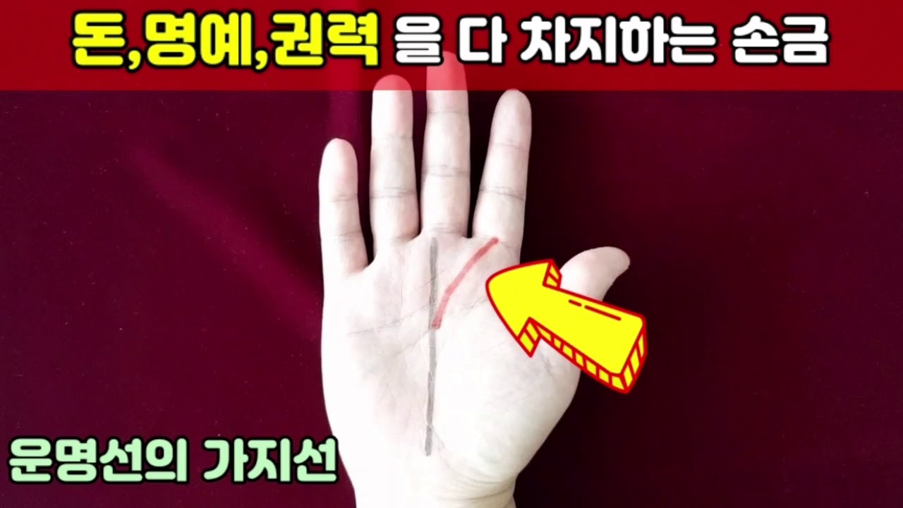 돈,명예,권력을 다 차지하는 손금. -운명선의 가지선- - YouTube