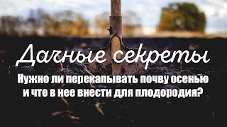Дачные секреты. Нужно ли перекапывать почву осенью и что в нее внести для плодородия?