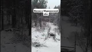 #природа #россия #россияматушка #russia #мурманск #юмор #смех #расея #глубинка #путешествия #travel