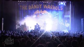 The Dandy Warhols - Wasp In The Lotus (Live in Sydney) | Moshcam