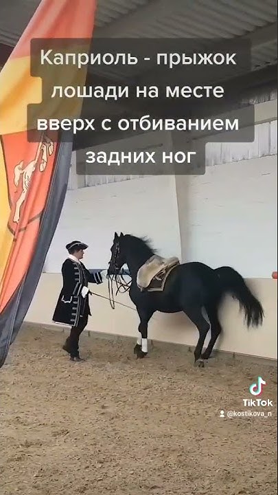 Вороной липпициан - YouTube