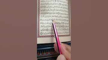 تعليم سورة يوسف من 11 إلى 14