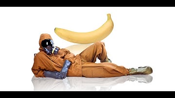 The Most Boring, Useless Facts You