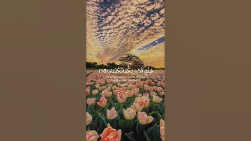 #قرآن #راحة_نفسية #تلاوة_خاشعة #لايك #اكسبلور