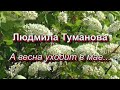 Людмила Туманова - А весна уходит в мае...