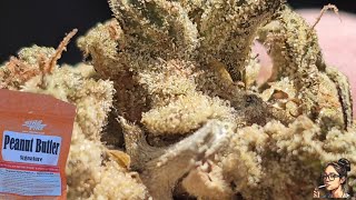 Peanut Butter | Str8fire