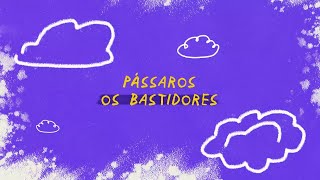 Como surgiu a ideia de 'Pássaros'
