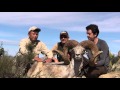 Chris Dianda in Mongolia 2015 with Tucannon Outfitters and Ramslam Video