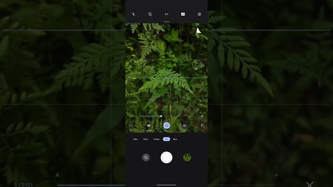 How to use Pro mode on mobile camera to click best photos | 