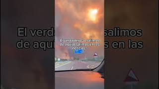 El verdadero 🚫hay que salir de aquí 🚫#galicia #incendios