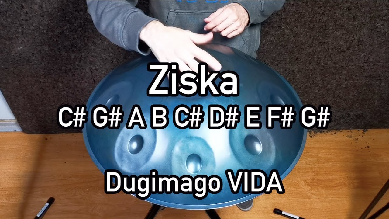 Dugimago Vida Ziska 8 + Ding scale