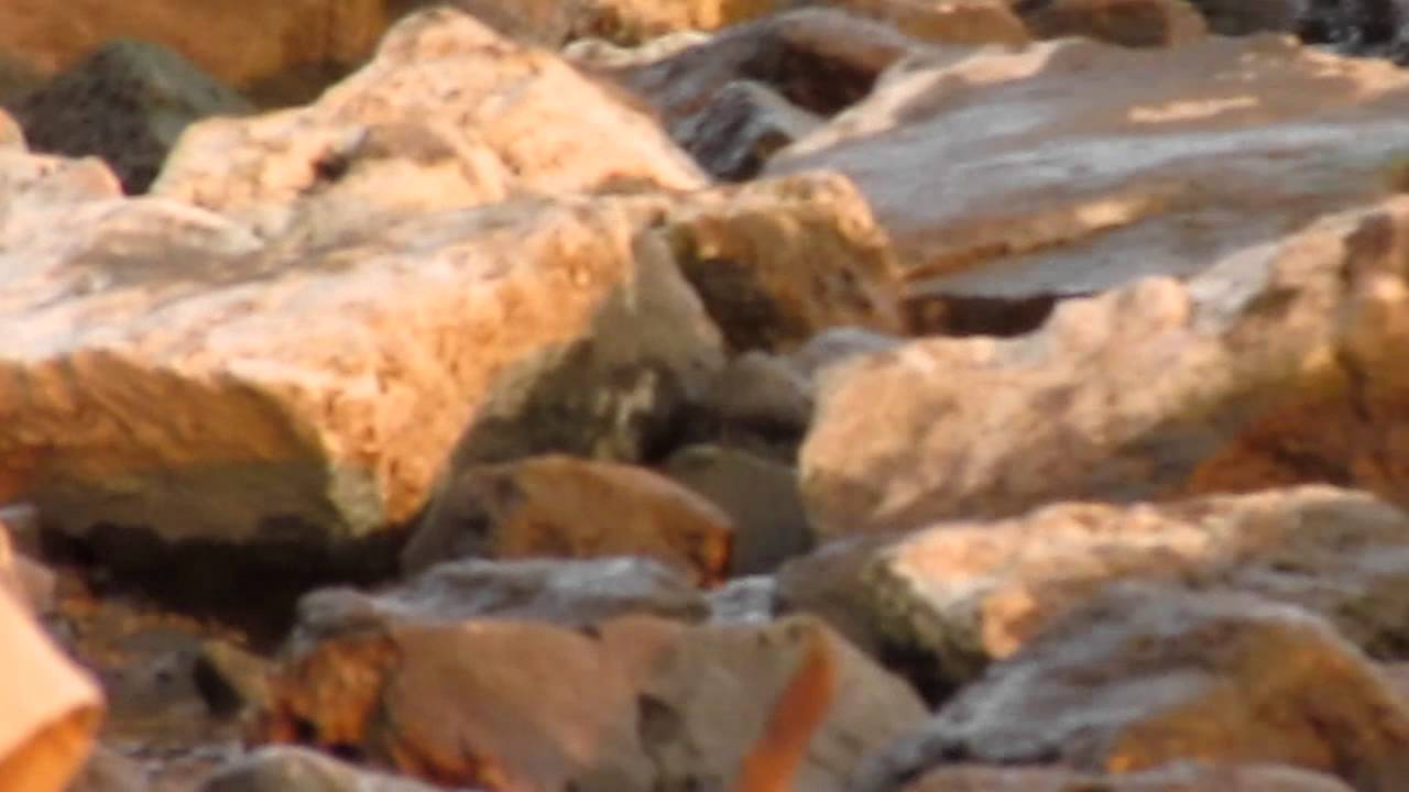 Mississippi fishing - YouTube