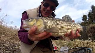 Solo Fishing Alone on a River (TRADITIONAL FLOAT FISHING)