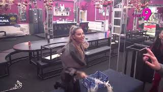 Elita 9 Maja I Aneli Izvrnule Dači Ukrase Na Glavu, On Ostao Sav U Šljokicama - 14.01.2026.