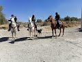 El día a día de un Policía del Agrupamiento de Caballería.