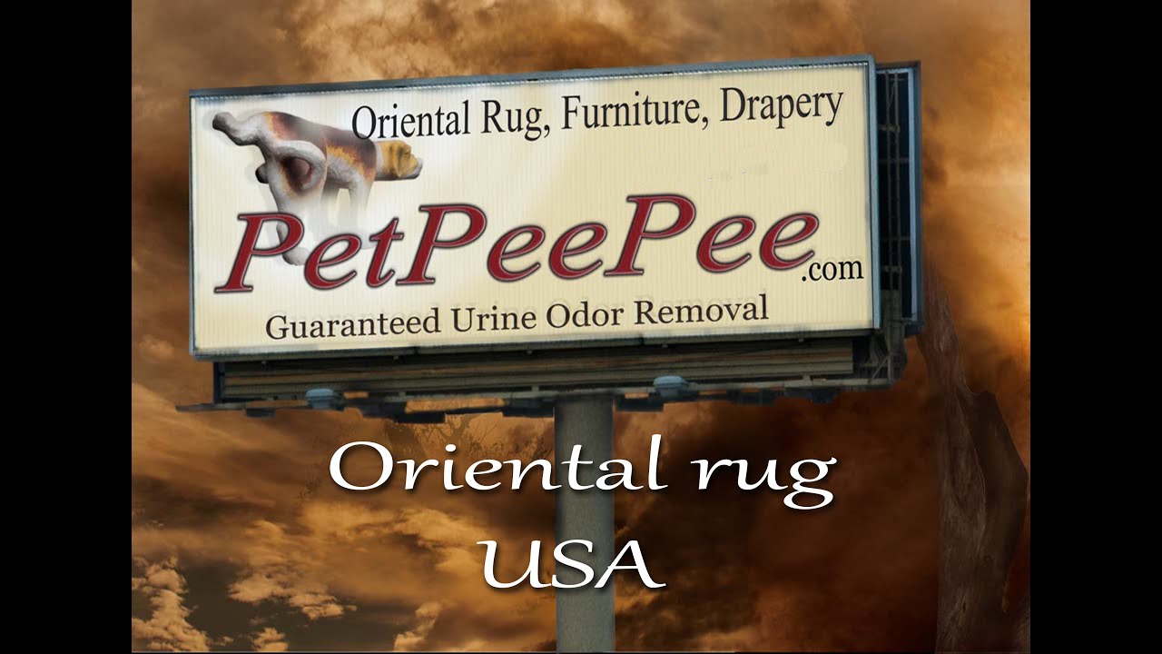Oriental rug Cleaning By the PetPeePee company.