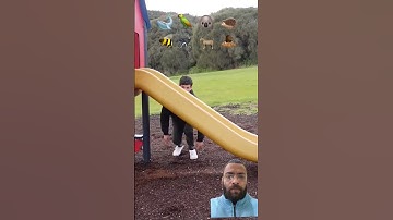 How Different Animals Go Down A Slide 😂 Part 3 (with emojis)