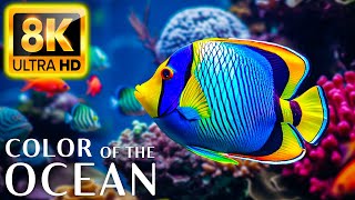 Colors Of The Ocean 8K Video ULTRA HD - The best sea animals for relaxing and soothing music #21