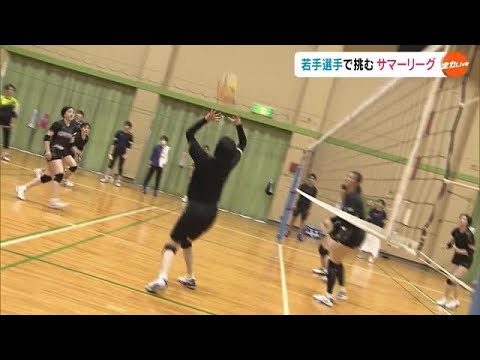 中学生からできる! 河本監督・コンビバレーの極意 【全2巻】 ネット