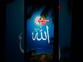 কি ধাক্কা মারতে মন চায় এটা তো আল্লাহর নাম 💔🥹7641#islamicvideo #trendingshorts #ইসলামিক_ভিডিও