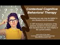 378  Contextual Cognitive Behavioral Therapy Video