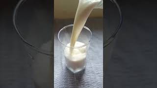 Plain Lassi 🥛 #Lassi #Summer #milk #Curd #shortsfeed #shorts  #recipe #cooking #freshcurd