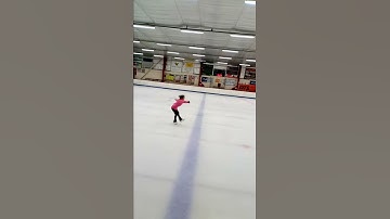 Double salcow double loop