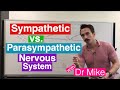 Nervous System Dynamics: Sympathetic vs Parasympathetic Insights