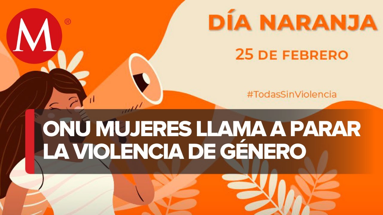 Representante de ONU pide poner fin a violencia contra las mujeres ...