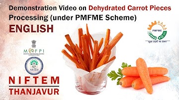 Demonstration Video on Dehydrated Carrot Pieces Processing (under PMFME Scheme) - ENGLISH