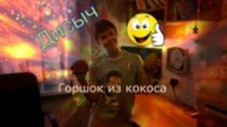 DIY- горшок из кокоса. (+посадка кактуса)! DIY- горшок из кокоса. (+посадка кактуса)!