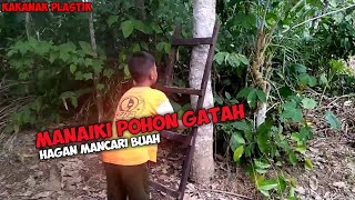 Manaiki pohon hagan mancari buah bigitaban hiburan kakanak plastik