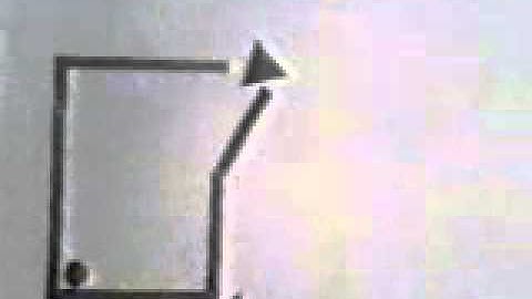 Experimental study of apparent behavior. Fritz Heider & Marianne Simmel. 1944