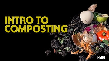 Intro to Composting: Choosing The Right System