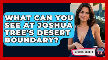 What Can You See At Joshua Tree