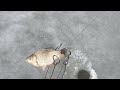 первый лёд рыбалка на хапуги