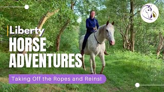 Liberty Horse Adventures - Taking Off the Ropes and Reins! by Connection Training 2,790 views 3 years ago 3 minutes, 6 seconds