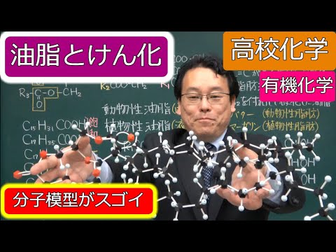 油脂　けん化　グリセリン　硬化油　有機化学　高校化学　エンジョイケミストリー　143402