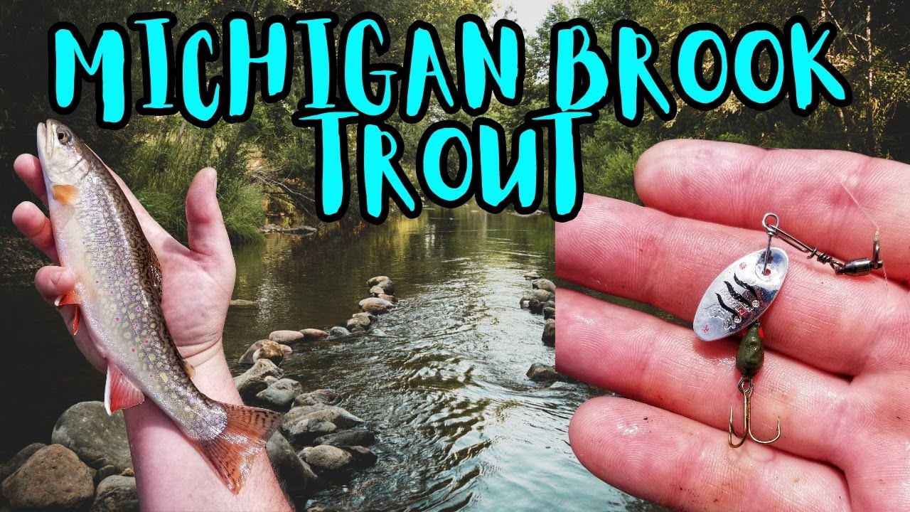 Brook Trout Fishing In Michigan - Catch & Cook 