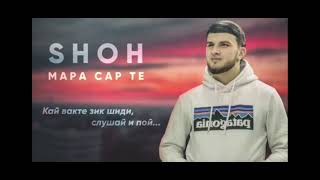 SHOH Мара Сар Те( Mara sar te)