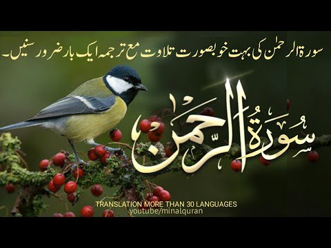 Surah Ar Rahman | Surah Rahman (full)| Translation more than 30 Languages | سورة الرحمن